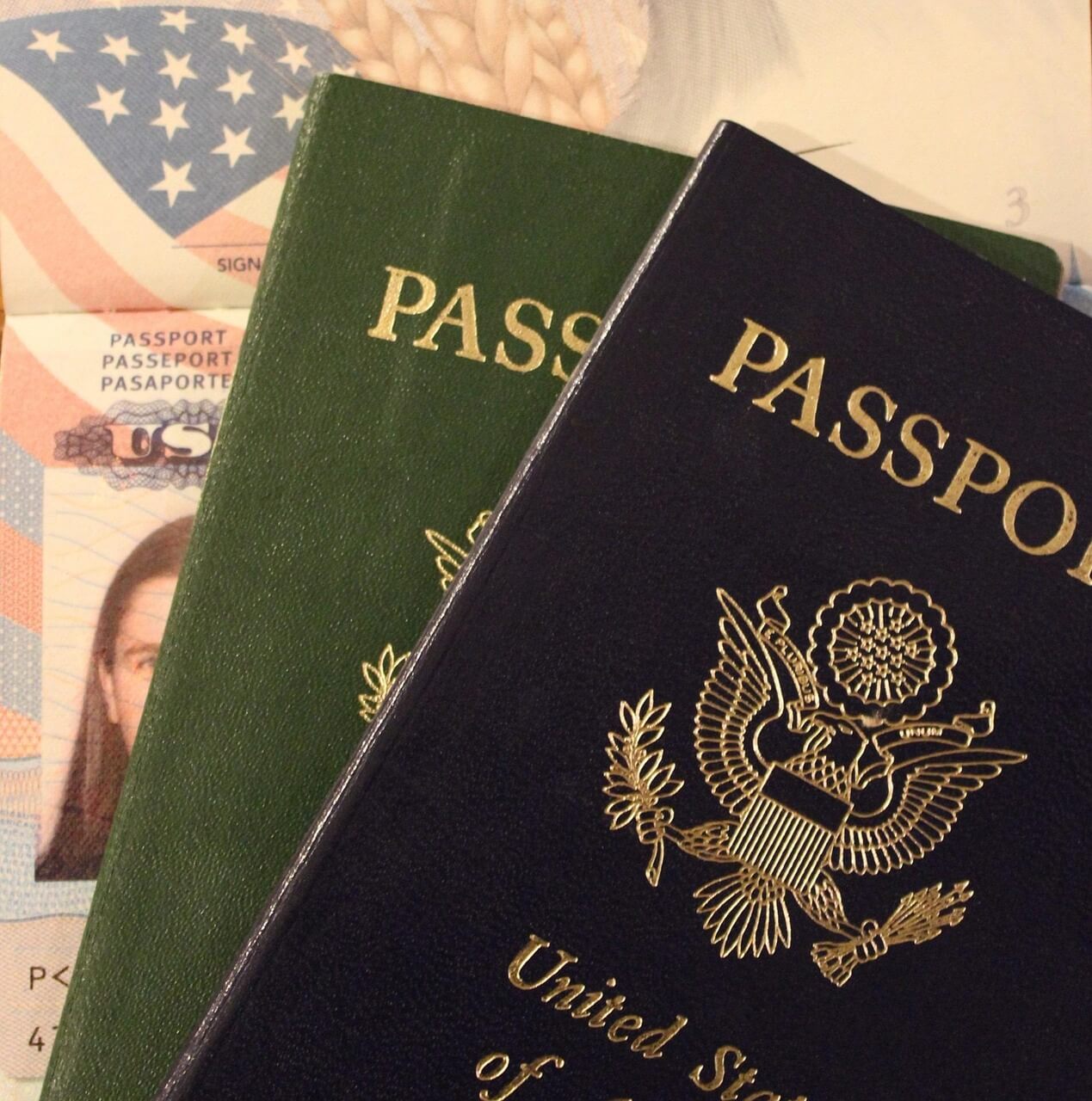 Sample identity document fields that commonly appear on resumes and require redaction