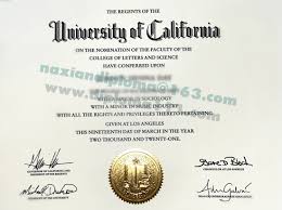 Scanned diploma PDF page—image-only document without selectable text layer